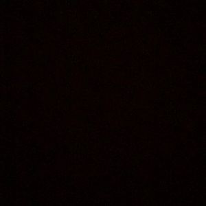 Meet your Posher, Ava